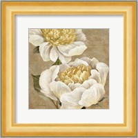 Up Close Cream Peony Fine Art Print