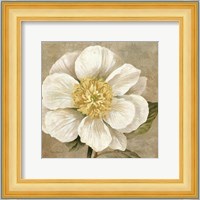 Up Close Cream Rose Fine Art Print