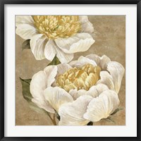 Up Close Cream Peony Fine Art Print