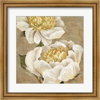 Up Close Cream Peony Fine Art Print