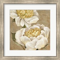 Up Close Cream Peony Fine Art Print