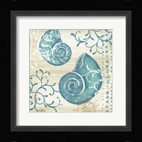Tranquil Shell II Fine Art Print