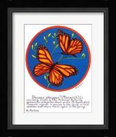 Monarch Fine Art Print