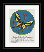 Paradisea Fine Art Print