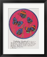 Callithea Saphhira Framed Print