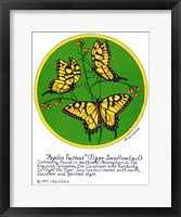 Tiger Swallowtail Framed Print