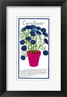Cornflower Fine Art Print
