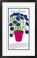 Cornflower Framed Print