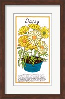 Daisy Fine Art Print