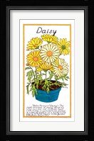 Daisy Fine Art Print