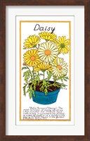 Daisy Fine Art Print