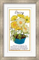 Daisy Fine Art Print