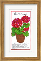 Geranium Fine Art Print