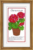 Geranium Fine Art Print