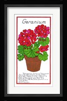Geranium Fine Art Print
