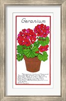 Geranium Fine Art Print