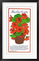 Nasturtium Fine Art Print