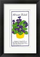 African Violet Fine Art Print