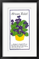 African Violet Fine Art Print