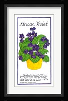 African Violet Fine Art Print