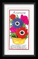 Anemone Fine Art Print