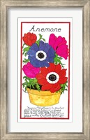 Anemone Fine Art Print