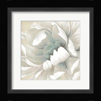 Winter Blooms II Fine Art Print