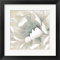 Winter Blooms II Fine Art Print
