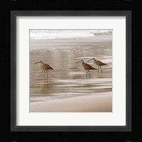 Shore Birds I Framed Print