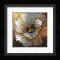 Blooming II Framed Print