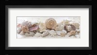 Treasures by the Sea II Framed Print