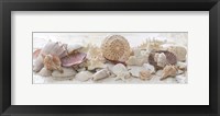 Treasures by the Sea II Fine Art Print