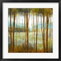 Soft Forest I Framed Print