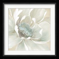 Winter Blooms I Fine Art Print