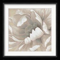 Winter Blooms II Framed Print