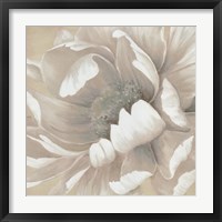 Winter Blooms II Framed Print