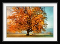 Autumn's Passion Fine Art Print