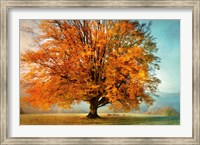 Autumn's Passion Fine Art Print