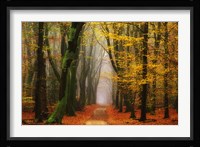 Shimmer Fine Art Print