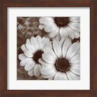 Sepia Blossoms I Fine Art Print