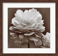 Sepia Blossoms II Fine Art Print
