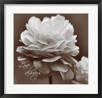 Sepia Blossoms II Fine Art Print