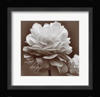 Sepia Blossoms II Framed Print