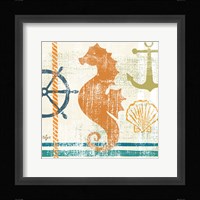 Nautical Brights IV Framed Print