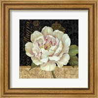 Antique Still Life Peony Fine Art Print