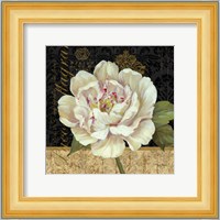 Antique Still Life Peony Fine Art Print