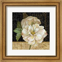 Antique Still Life Rose Fine Art Print