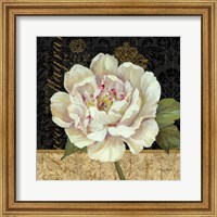 Antique Still Life Peony Fine Art Print