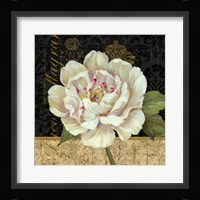 Antique Still Life Peony Framed Print