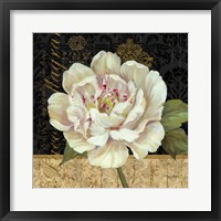 Antique Still Life Peony Fine Art Print